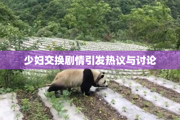 少妇交换剧情引发热议与讨论