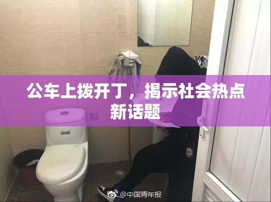 公车上拨开丁，揭示社会热点新话题