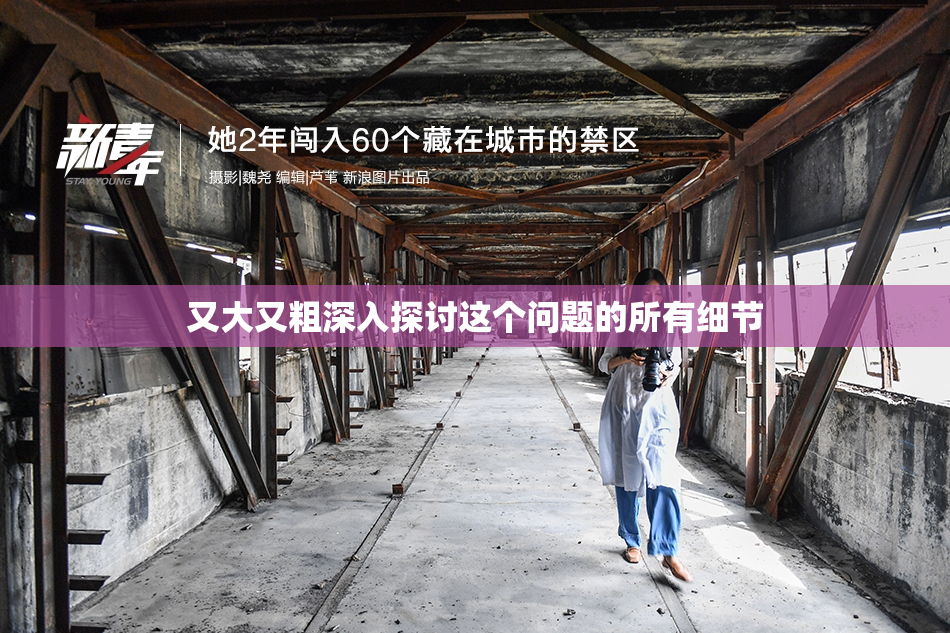 又大又粗深入探讨这个问题的所有细节