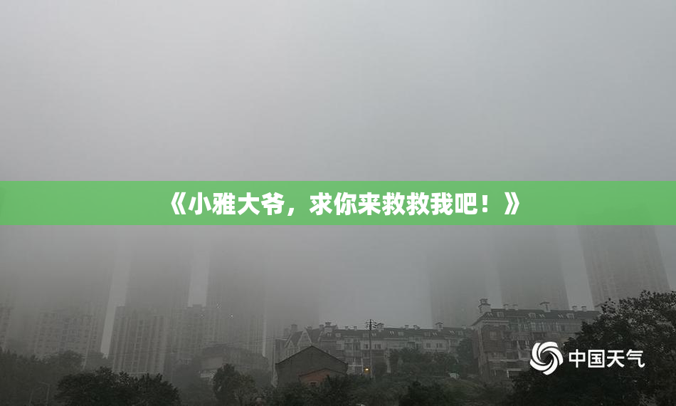 《小雅大爷，求你来救救我吧！》