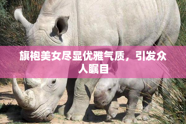 旗袍美女尽显优雅气质，引发众人瞩目