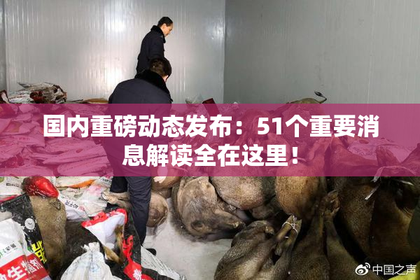 国内重磅动态发布：51个重要消息解读全在这里！
