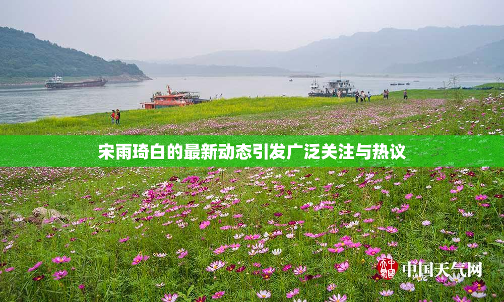 宋雨琦白的最新动态引发广泛关注与热议