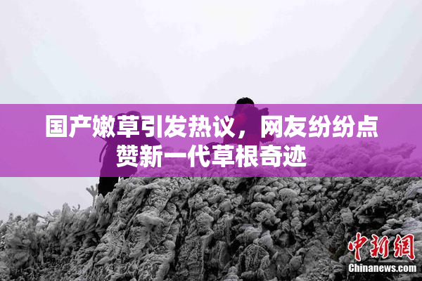 国产嫩草引发热议，网友纷纷点赞新一代草根奇迹