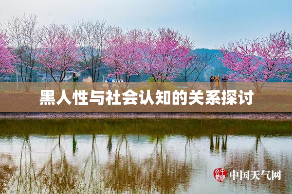 黑人性与社会认知的关系探讨