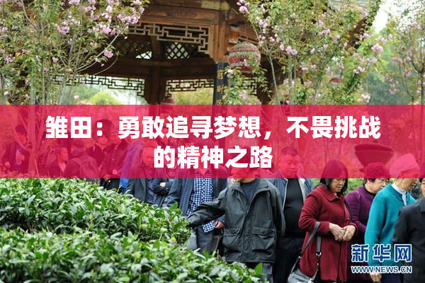 雏田：勇敢追寻梦想，不畏挑战的精神之路