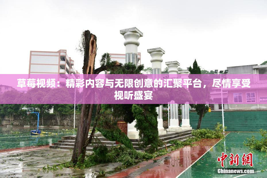草莓视频：精彩内容与无限创意的汇聚平台，尽情享受视听盛宴