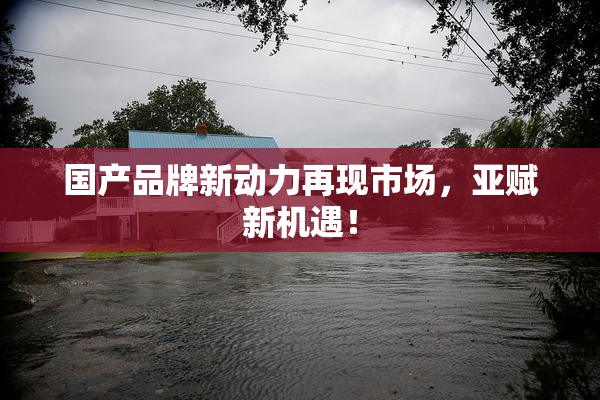 国产品牌新动力再现市场，亚赋新机遇！