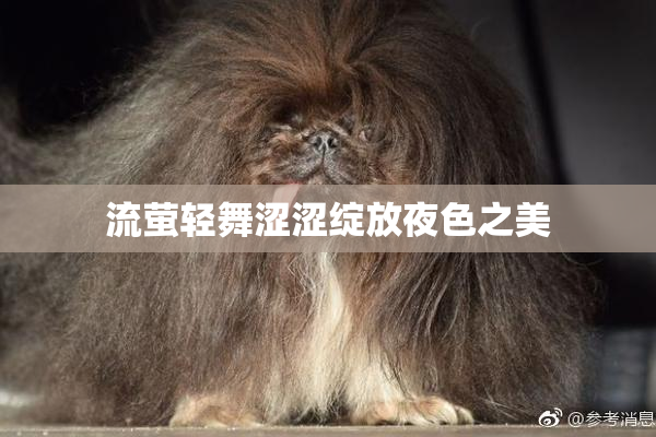 流萤轻舞涩涩绽放夜色之美