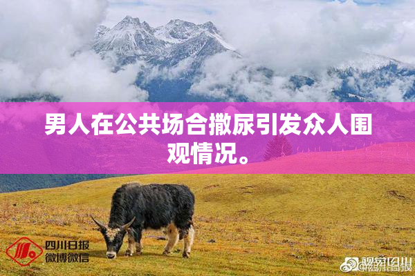 男人在公共场合撒尿引发众人围观情况。