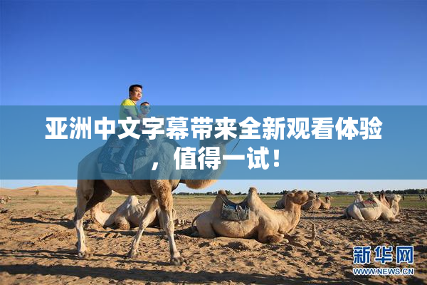 亚洲中文字幕带来全新观看体验，值得一试！