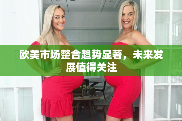 欧美市场整合趋势显著，未来发展值得关注