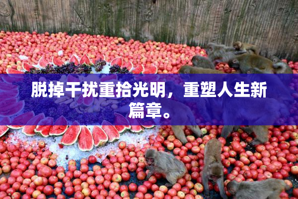 脱掉干扰重拾光明，重塑人生新篇章。