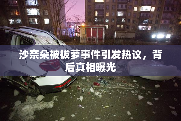 沙奈朵被拔萝事件引发热议，背后真相曝光