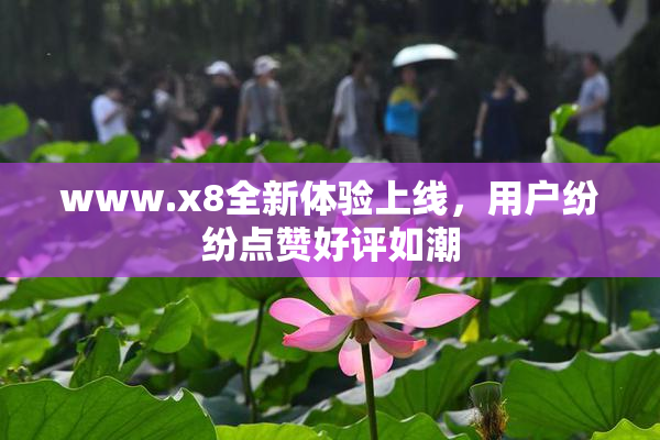 www.x8全新体验上线，用户纷纷点赞好评如潮