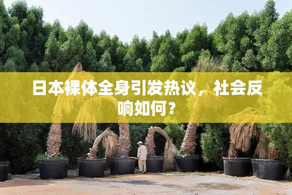 日本裸体全身引发热议，社会反响如何？