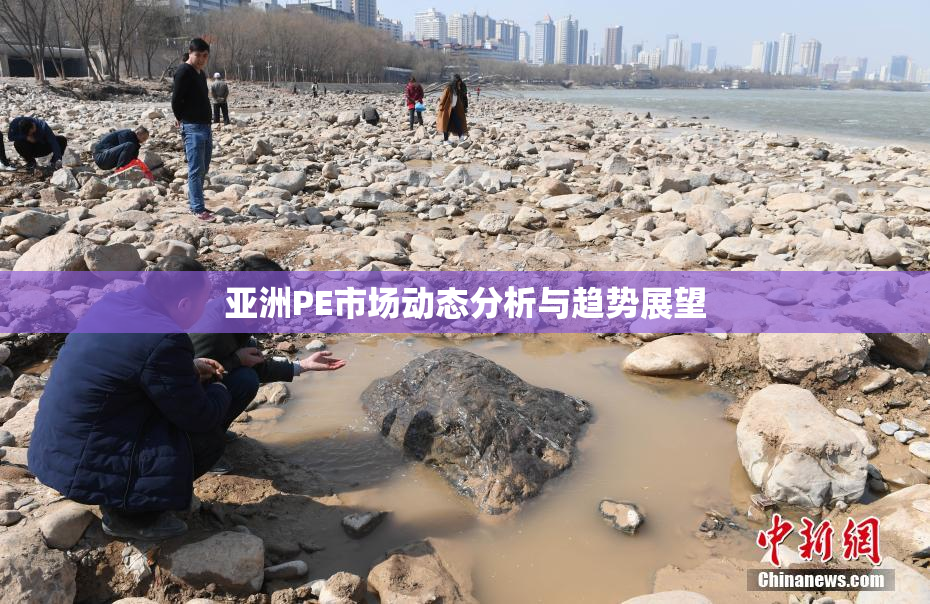 亚洲PE市场动态分析与趋势展望