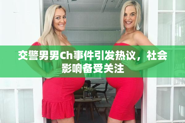 交警男男Ch事件引发热议，社会影响备受关注