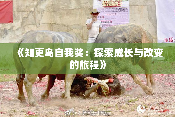 《知更鸟自我奖：探索成长与改变的旅程》