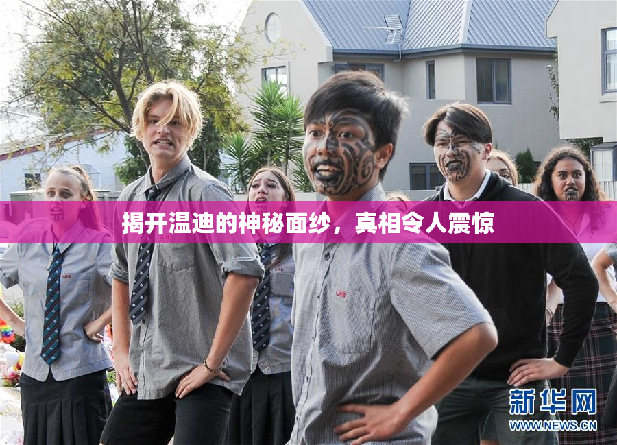 揭开温迪的神秘面纱，真相令人震惊