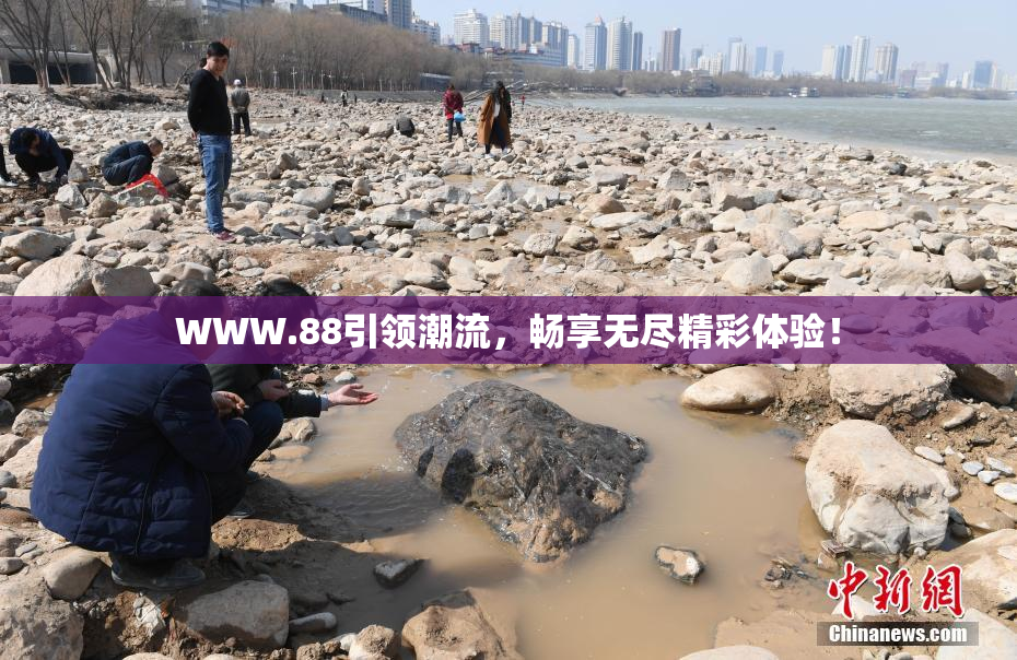 WWW.88引领潮流，畅享无尽精彩体验！