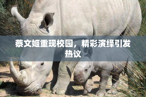 蔡文姬重现校园，精彩演绎引发热议