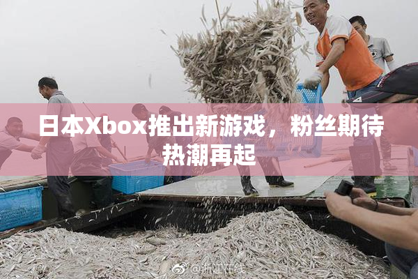 日本Xbox推出新游戏，粉丝期待热潮再起