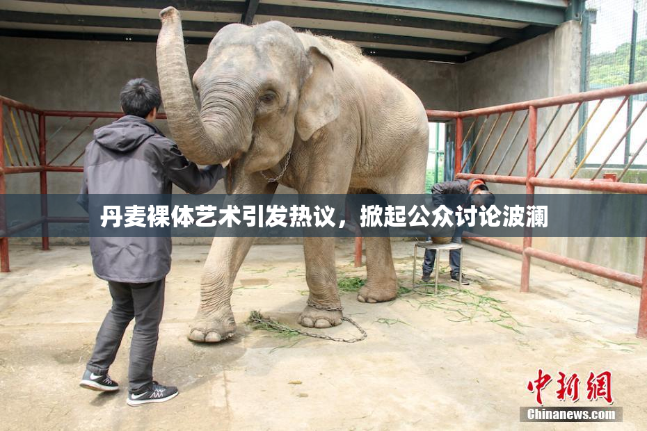 丹麦裸体艺术引发热议，掀起公众讨论波澜