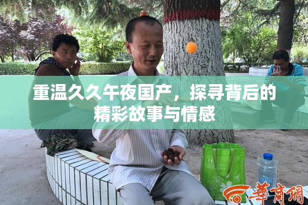 重温久久午夜国产，探寻背后的精彩故事与情感