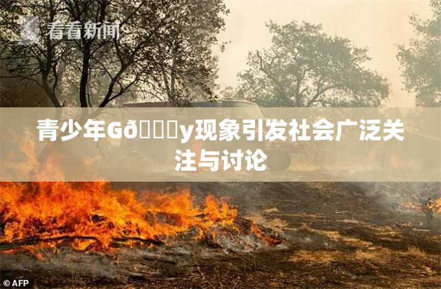 青少年G🈚y现象引发社会广泛关注与讨论