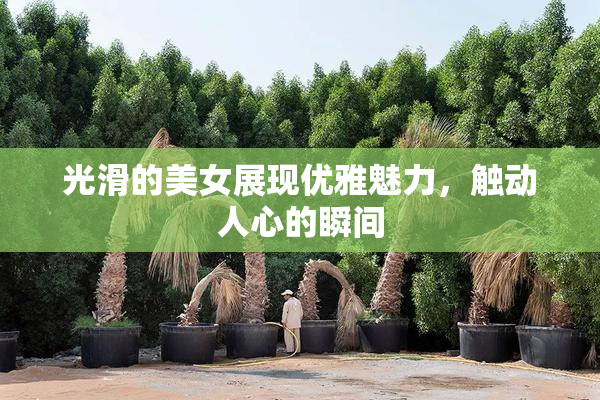 光滑的美女展现优雅魅力，触动人心的瞬间