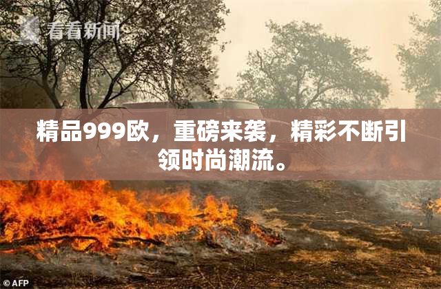 精品999欧，重磅来袭，精彩不断引领时尚潮流。