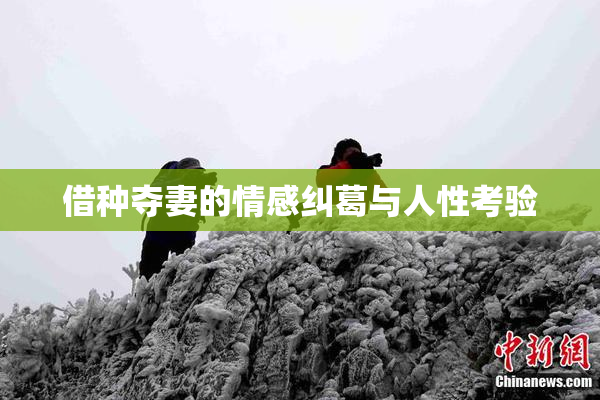 借种夺妻的情感纠葛与人性考验
