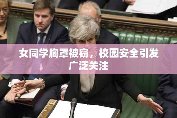 女同学胸罩被窃，校园安全引发广泛关注