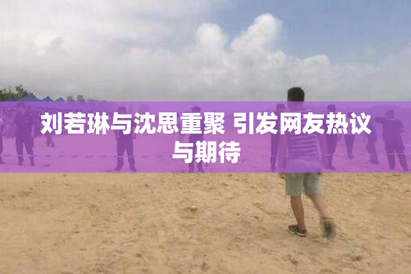 刘若琳与沈思重聚 引发网友热议与期待