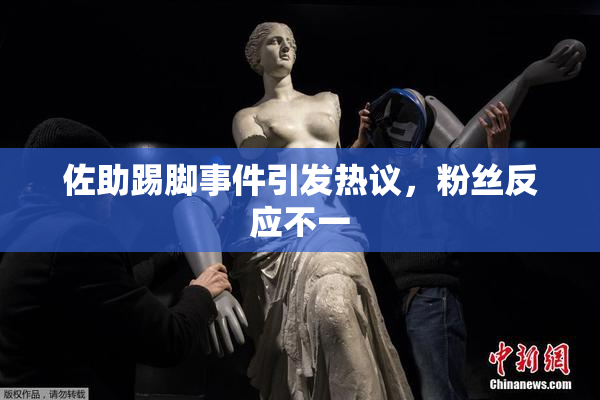 佐助踢脚事件引发热议，粉丝反应不一