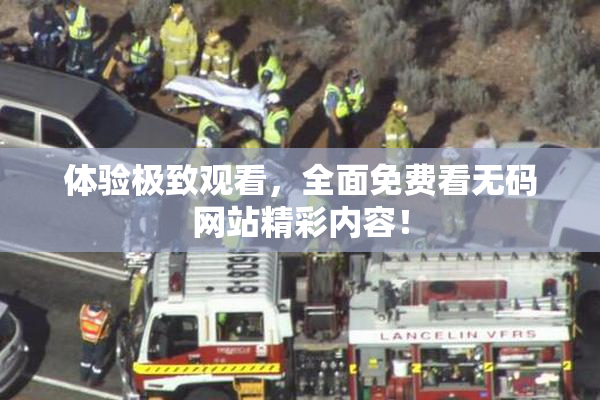 体验极致观看，全面免费看无码网站精彩内容！