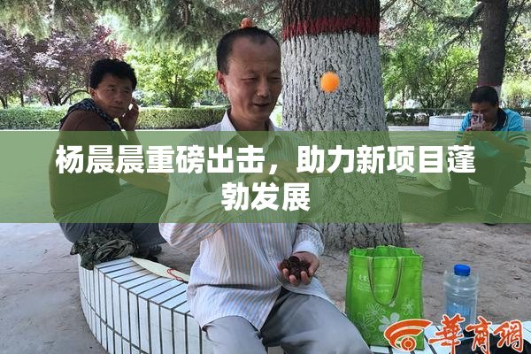 杨晨晨重磅出击，助力新项目蓬勃发展