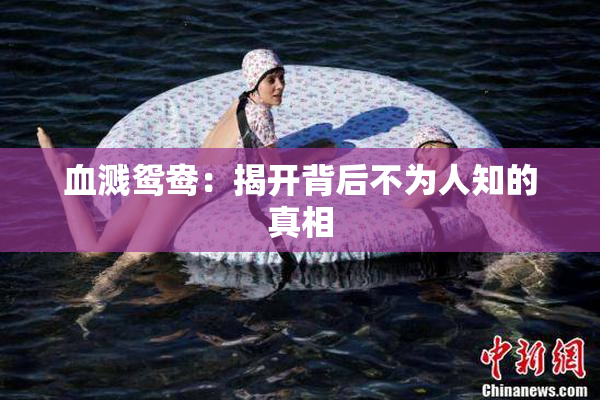血溅鸳鸯：揭开背后不为人知的真相