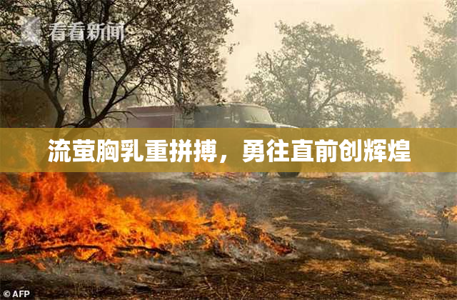 流萤胸乳重拼搏，勇往直前创辉煌
