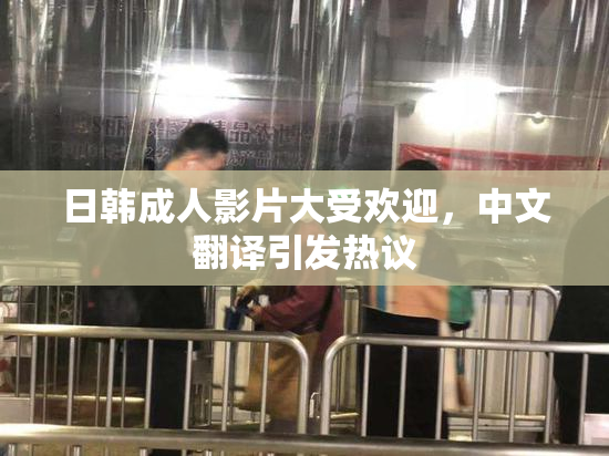 日韩成人影片大受欢迎，中文翻译引发热议