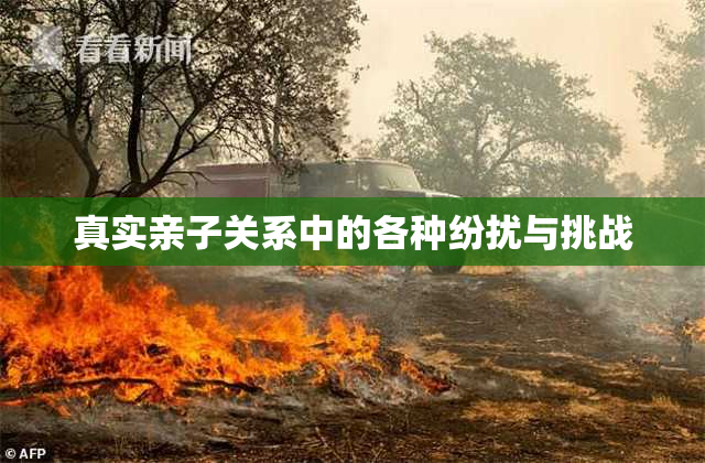 真实亲子关系中的各种纷扰与挑战