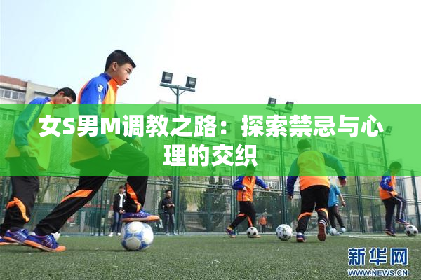 女S男M调教之路：探索禁忌与心理的交织