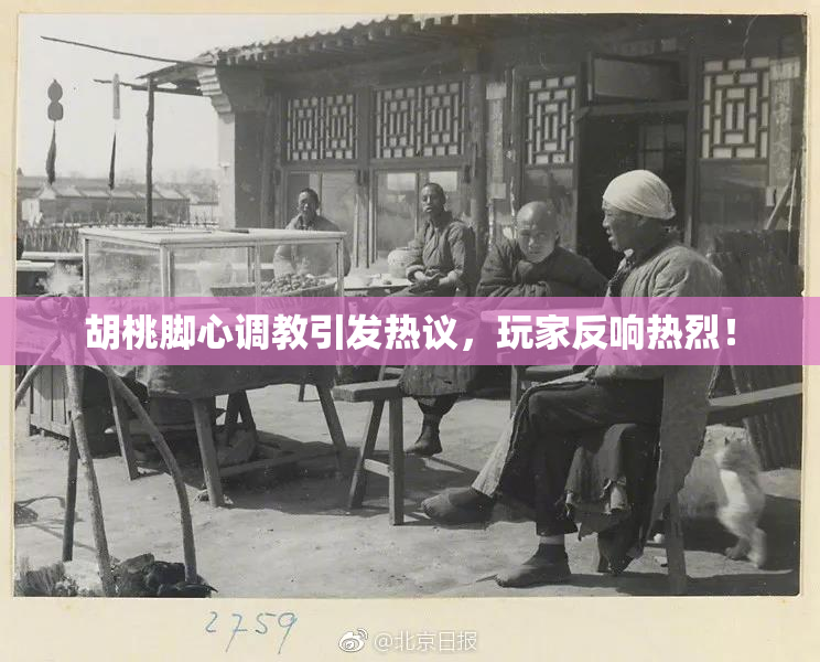 胡桃脚心调教引发热议，玩家反响热烈！