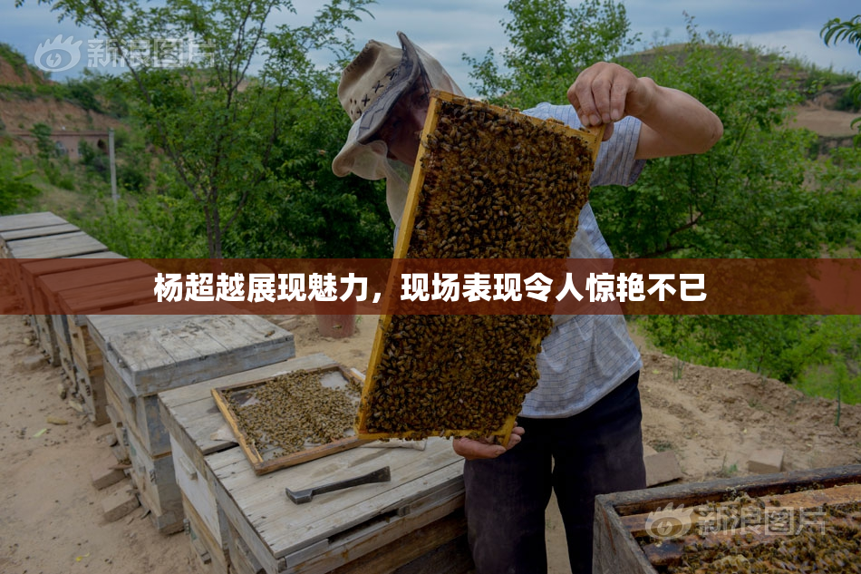 杨超越展现魅力，现场表现令人惊艳不已