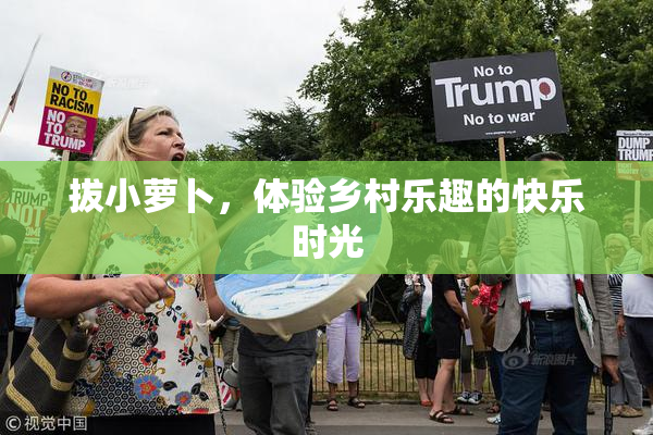 拔小萝卜，体验乡村乐趣的快乐时光