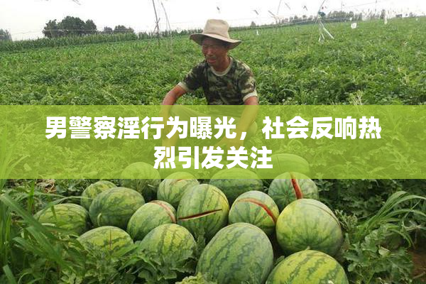 男警察淫行为曝光，社会反响热烈引发关注