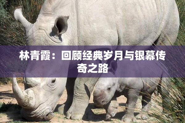 林青霞：回顾经典岁月与银幕传奇之路