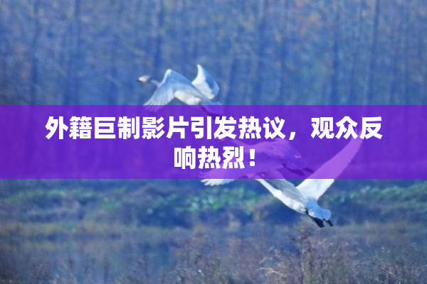 外籍巨制影片引发热议，观众反响热烈！