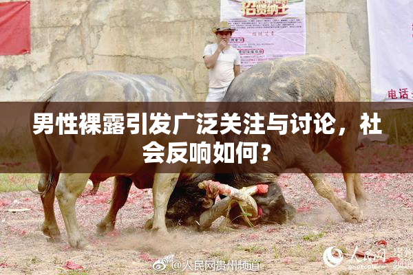 男性裸露引发广泛关注与讨论，社会反响如何？